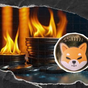 Shiba Inu Burn Rate Up 491% as 37.52 Million SHIB Exit Circulation