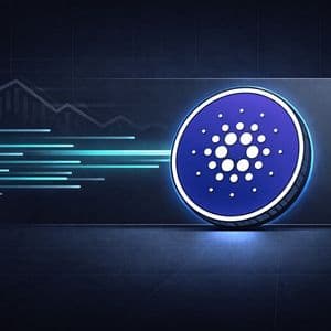 Cardano Pushes Privacy With Midnight as Market Ignores Fundamentals — Delayed Repricing?