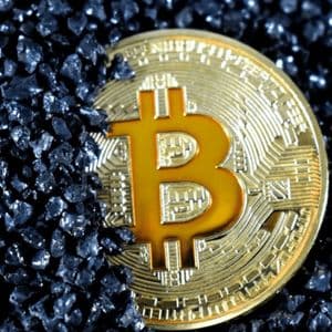 Братья Уинклвоссы инвестируют BTC в майнинговый проект, связанный с Трампом