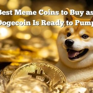 Best Meme Coins to Buy as Dogecoin Gears Up for 50% Rally