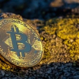 United States’ Bitcoin Holdings Top $24 Billion After Ruling Out Buying