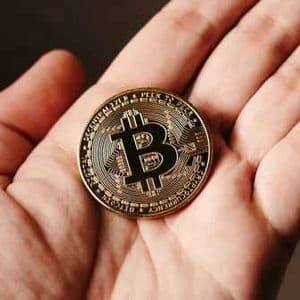 Bitcoin’s Biggest Holders Pull Back, Control 68% Of Supply