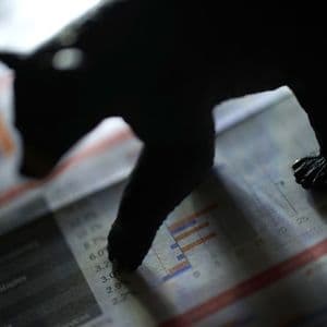 Why This Bitcoin Bear Market Is Among The Worst Ever: CryptoQuant Researcher