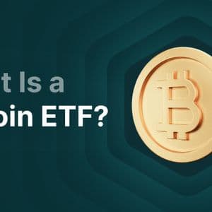 Bitcoin Spot ETFs Record $787 Million Inflows To Break 5-Week Negative Streak