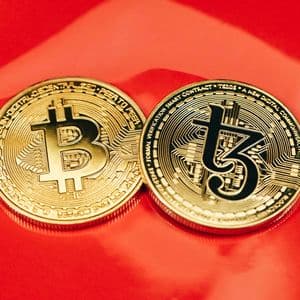 Growing Pressure On BTC: On-Chain Data Reveals Bitcoin’s Institutional Exodus