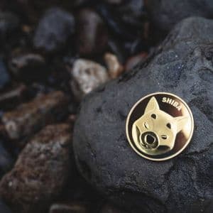 Return Of The Top Dog: Binance Whales Are Betting That The Shiba Inu Price Will Blow Up