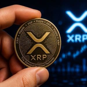 XRP Pundit Shares 5 Key Points For Long-Term Holders