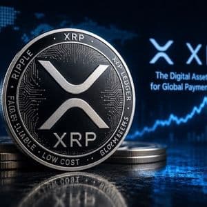 XRP Exchange Netflow Data Says Accumulation Is Ongoing, But Who’s Buying?