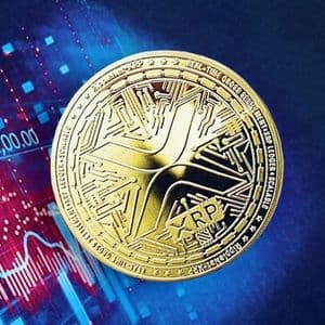 XRP Whales Have Just Set An 8-Year Record, Is This The Start Of The Next Bull Run?