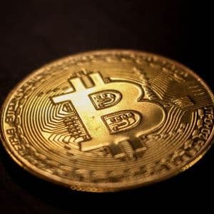 How To Play The Bitcoin 4-Year Cycle For The Most Gains In The Bull Market
