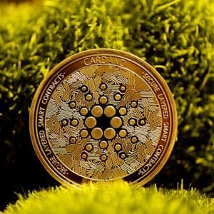 Cardano Just Took Another Major Hit Amid Zombie Chain Allegations