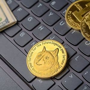 Is Dogecoin Near A Bottom? This Key Metric Is Offering New Clues On The Matter