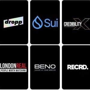 Top Blockchain Projects of 2025: Binance, Sui, droppGroup, RECRD, and More According to CredibilityX
