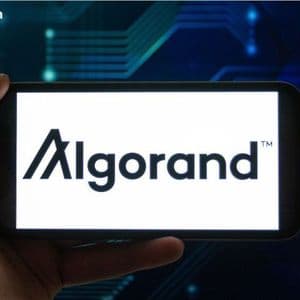 Algorand Cuts Workforce as SEC Labels ALGO a Commodity