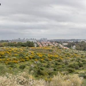 Enlivex Announces $21M Debt Financing and Prediction Markets Treasury Expansion