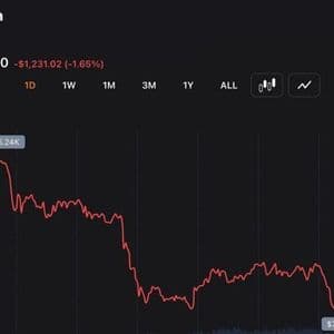 Traders Push Bitcoin Back Above $73,000 After $352M Liquidation Sweep