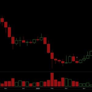 Here’s Why Bitcoin’s 50% Drop Looks Mild Next to What Several Altcoin Holders Are Sitting On