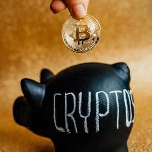 2025 Crypto Boom Backed By $50 Billion In Treasury Firm Purchases