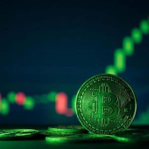 Bitcoin’s 2-Year Pattern Revealed: 12 Green Months Out Of 24