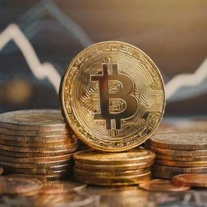 Pundit Shares Everything To Understand About Bitcoin, ‘This Cycle IS Different’