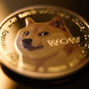 The Dogecoin Setup That Could Create New Crypto Millionaires
