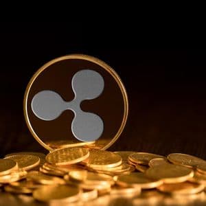 XRP Holders Are Seeing Major Losses Since The Bull Market, And The Numbers Are Rising