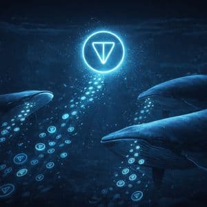Top Toncoin Whales Silently Accumulate 189,730 TON Despite Market Weakness