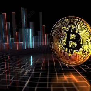 Why Did The Bitcoin Price Rally Past $75,000 Despite The US-Iran War?
