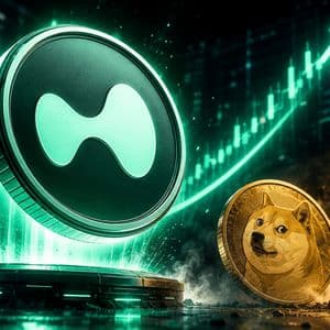 Hyperliquid Flips Dogecoin To Take The No. 9 Spot In Crypto