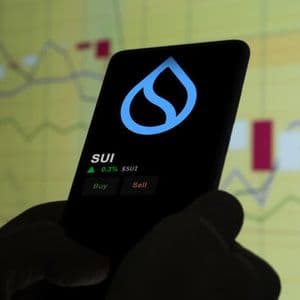SUI Finds Strong Technical Support, Yet Broader Downtrend Fears Persist