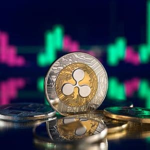 Pundit Says The Clock Is Ticking For XRP, Here’s What To Know