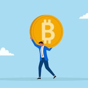 Bitcoin Registers Record 15.8M Long-Term Holders Amid Price Decline – Here’s Why