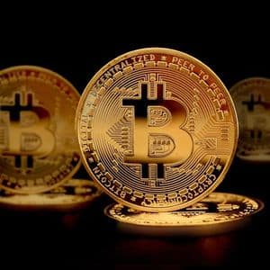 Bitcoin’s Market Structure Reflects The Influence Of Major Investors