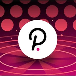 Polkadot Unveils Bold Vision for Proof-of-Personhood Identity System
