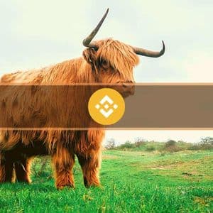 CEA Industries Secures $160M BNB Position Through Treasury Arm