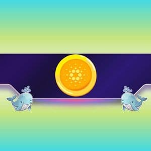 210,000,000 ADA Bought in 3 Weeks: What Do Cardano Whales Know?