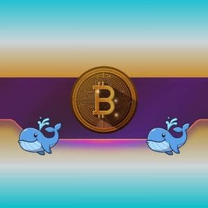 Whale Liquidated for $61.5 Million as Bitcoin Tumbled to New Lows