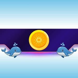 820,000,000 ADA in 6 Months: Why Cardano Whales Are Buying the Dip in Bulk