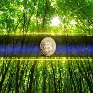 Geopolitics Fail to Break Bitcoin: Analyst Eyes $80K Upside Ahead