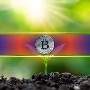 BTC Open Interest Drops 50% Leaving Market Primed for a Big Move