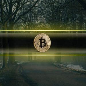 Bitcoin Profit Supply Drops to 59%, Closing In on Bear Market Levels