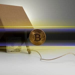 Bitcoin Rally Could Be a Trap Before Major Collapse, Says Analyst