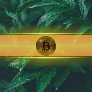 Bitcoin’s Two Use Cases Are Fueling Its Surge During Geopolitical Turmoil