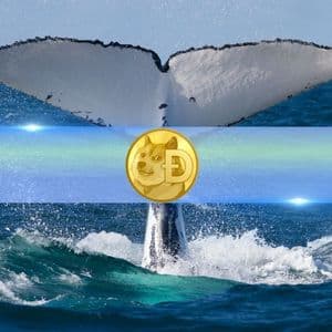 Dogecoin (DOGE) Whales Quietly Accumulate as Holdings Hit Record Levels