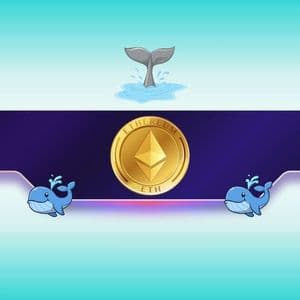 Ethereum Whales Go on Accumulation Spree as ETH Awaits Major Trigger