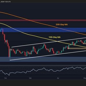 Bitcoin Price Analysis: BTC Maintains Key Support Levels, Will the Rebound Continue?