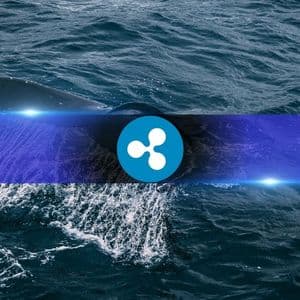 Why Ripple (XRP) Accumulation Continued Despite Market Fear and Liquidations