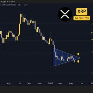 Why is the Ripple (XRP) Price Down Today?