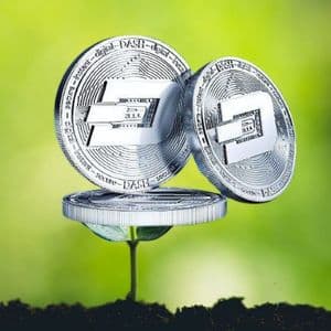 Dash price prediction 2025-2031: Is DASH recovering soon?