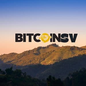 BSV Price Prediction 2025-2031: Will Bitcoin SV Hit $100 Soon?